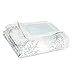 aden + anais silky soft dream blanket; metallic skylight birch