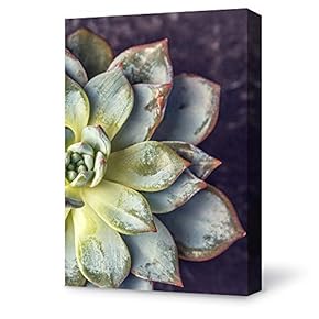 Canvas Wall Art Plant Succulents Plant Office Canvas Painting Wall Poster Decor for Living Room Wooden Framed Home Decorations - 12x18 inches