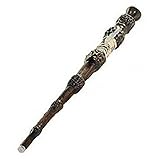 Harry Potter, Albus Dumbledore's Wizard Training