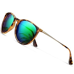 Wearpro Sunglasses