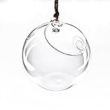 CYS EXCEL Plant Terrarium, Hanging Candle Holder Glass Terrarium, Multiple Size Available, Pack of 12 pcs (H:4.5
