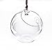 Plant Terrarium/Hanging Candle Holder, Round Base with 1 hook (12 pcs)