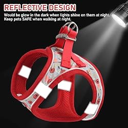 GAMUDA Small Pet Harness Collar and Leash Set, Step