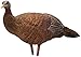 Avian-X Breeder Hen Turkey Decoy,  Lifelike Collapsible Decoy With Carbon Stake and Carry Bag primary