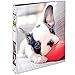 Avery Friends 3 Ring Binder, 1 Inch Round Rings, French Bulldog Puppy (26836)