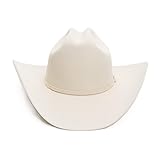 Stetson Men's Skyline Cowboy Hat, Silverbelly - 7 7/8