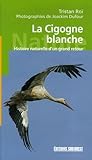 La Cigogne blanche by 