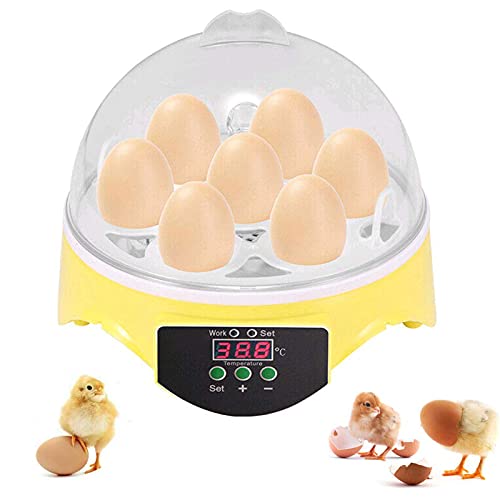 Nienyu Mini-Ei-Inkubator, 7-Loch-Micro-Inkubator mit Temperaturfeuchtigkeitssteuerung, tragbarer Zuhause-Inkubator für…