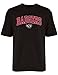 NCAA Wisconsin Badgers Gildan T-Shirt, Medium, Black