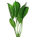 SubstrateSource Echinodorus bleheri Small Amazon Sword Live Aquatic Aquarium Plant (Small)