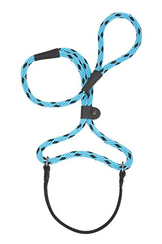 Mendota Dog Walker 3/8" x 6' - Black Ice - Turquoise