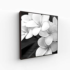 Canvas Wall Art for Living Room, Bedroom Monochrome Image Framed Canvas Prints for Home Decoration Ready to Hang - 16x16 inches