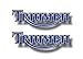 2 TRIUMPH Motorcycle 9