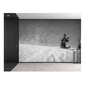 Wall26 - Black and White Photo of a Lone Tree on a Snowed in Cliff - Wall Mural, Removable Sticker, Home Decor - 66x96 inches