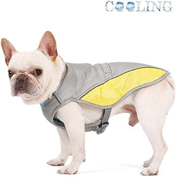 Pet Cooling Cool Summer Dog Coat, Dog Cooling Vest, Breathable Cooling Coat Outdoor Anti-Heat Summer Jacket Clothes,Mesh Vest Summer Breathable Dog Coat(XL)