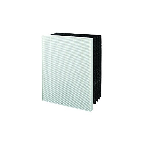 Winix 113050 Size 17 Replacement HEPA Filter Set for P150 Air Cleaner by Winix