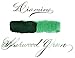 Diamine 80ml Sherwood Green fountain pen ink bottle
