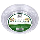 YOUniversal Products 10 Pack of 6 Inch Clear Plastic Plant Saucers for Indoor and Outdoor Plants
