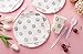 BLUE PANDA Elephant Baby Shower Decorations for Boy Theme, Baby Boy Birthday Party Supplies With Paper Plates, Napkins, Cups, and Cutlery (Serves 24 Guests, 144-Piece Set) - Elephant Party Decorations