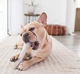 Petstages NewHide Rawhide Replacement Dog Chew Toy, Large