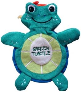 turtle baby einstein