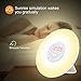 Wake Up Light, Alarm Clock Sunrise Simulation & Sleep Aid Feature, Bedside Night Light with FM Radio, 6 Nature Sounds, Touch Control and Snooze for Kids Adults Bedrooms(6638-Sunrise Alarm Clock)