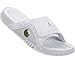 Nike Jordan Mens Jordan Hydro XIII Retro White/Metallic Silver Sandal 9 Men US