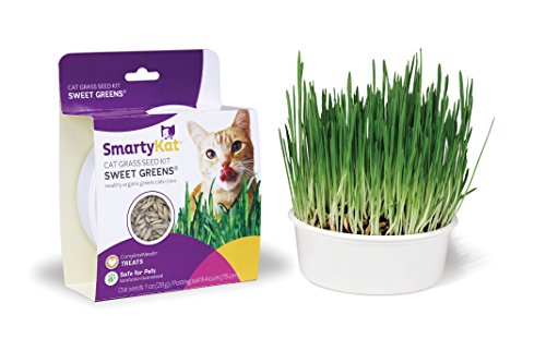 SmartyKat Sweet Greens Cat Grass Kit- 1 Oz