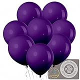 Deep Purple 10 Inch Latex Balloons 24 Pack