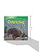 Ostriches (Animals That Live in the Grasslands)