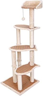 cool cat climbing towers