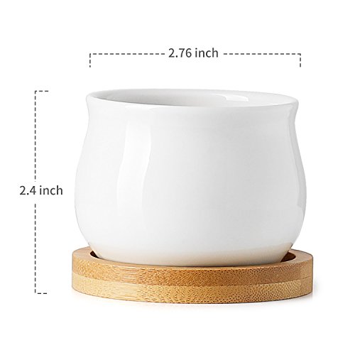 Greenaholics Succulent Plant Pots - 2.76 Inch Ceramic Round Container for Mini Succulents, Cactus, Small Flower Pots with Bamboo Trays, Set of 2, White
