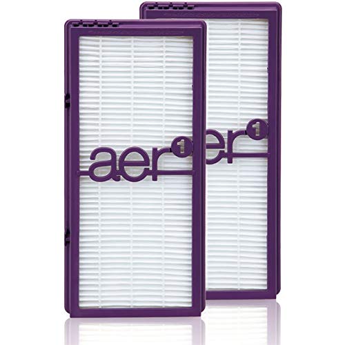 Holmes Hapf300Apdu4 2Pack Performanceplus True Hepa Allergen Filter