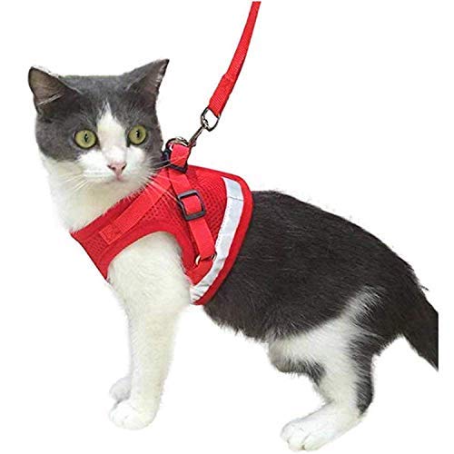 Kamots Beauty Escape Proof Cat Harness and Leash for Walking Adjustable Soft Mesh Pet Vest with