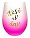 Novelty 16 Ounce Stemless Wine Glass (Rosé All Day)