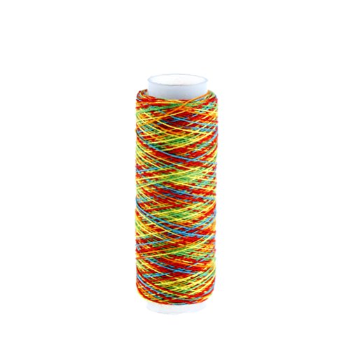 DINGJIN 10 Pcs Rainbow Color Sewing Thread DIY Embroidery Sewing Yarn Knitting Thread (Each 120 Yards)