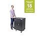 Pearington 20 Device Mobile Charging and Storage Cart for iPads, Chromebooks and Laptop Computers, Up To 17-Inch Screen Size, Surge Protection, Front & Back Access Locking Cabinet, Black