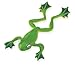 Safari Ltd  Incredible Creatures Flying Tree Frog