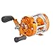Isafish Baitcasting Reels Conventional Inshore and Offshore Saltwater and Freshwater Fishing Reels Baitcaster Golden Color