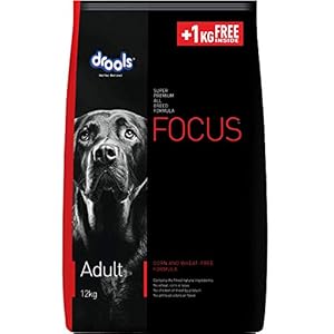 Drools Focus Adult Super Premium Dry Dog Food, Chicken Flavor, 12 Kg (+1kg Extra Free Inside)