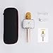 Wireless Karaoke Microphone, Portable Karaoke Machine for Kids with Bluetooth Speaker,USB-Stick Player, bluetooth wireless microphone for iPhone,Android, iPad ,TV(2018 UPDATED) (gold)