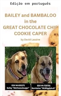 Livro Bailey e Bambaloo no grande roubo dos biscoitos de chocolate