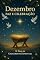 Livro Momentos Sagrados: Dezembro: Paz e Harmonia