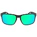 Dynamix Polarized Replacement Lenses for Oakley Holbrook OO9102 - Multiple Options