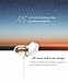 Xiaomi Mi Piston Air Capsule Earphones