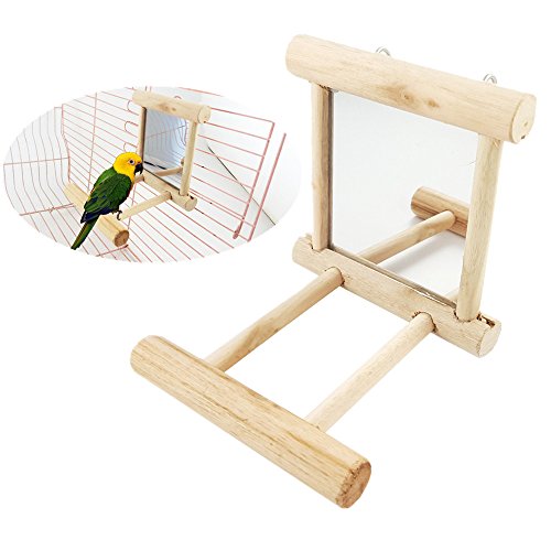 Zafina-up parrot natural wooden mirror toy bird perches…