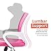 NEO CHAIR Office Chair Computer Desk Chair Gaming - Ergonomic Mid Back Cushion Lumbar Support with Wheels Comfortable Pink Mesh Racing Seat Adjustable Swivel Rolling Home Executive