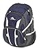 High Sierra Composite Backpack, True Navy/Mercury/White, 19.5 x 13 x 8-Inch
