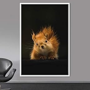signwin Framed Canvas Wall Art Squirrel Animals Fun...