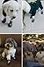 RilexAwhile Dog Socks Boots Shoes for Dogs Cat Socks Non-Slip Soles Adjustable Dog Cat Paw Socks Fit for Indoor Outdoor Use(Medium, Black)